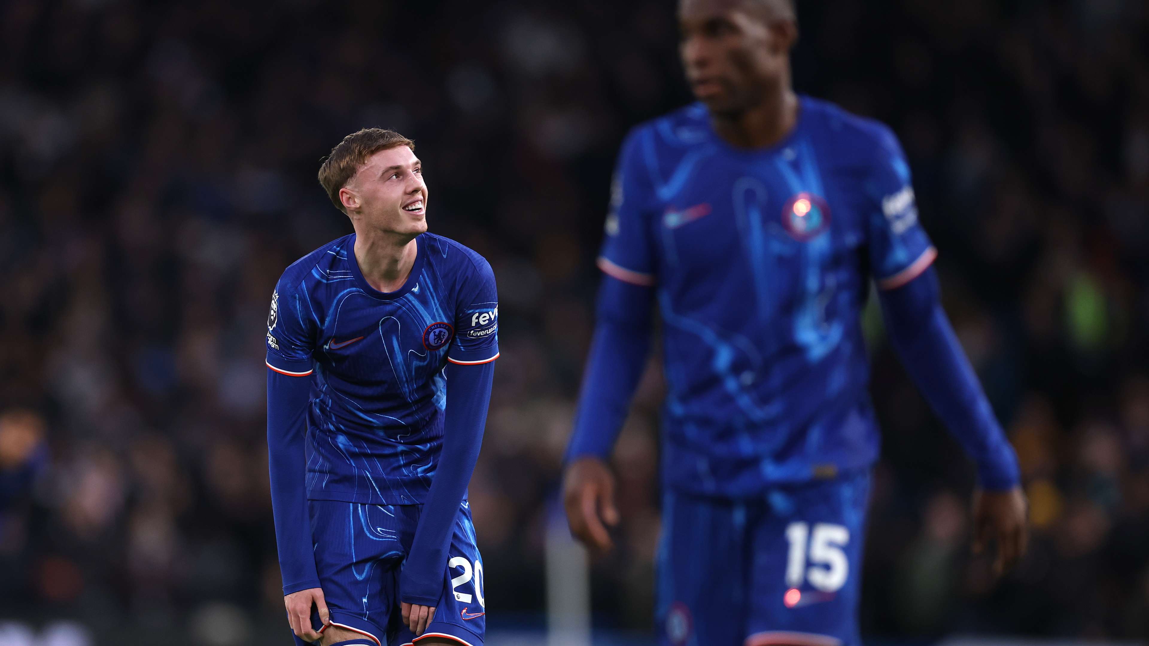 形成鲜明的 形成鲜明的