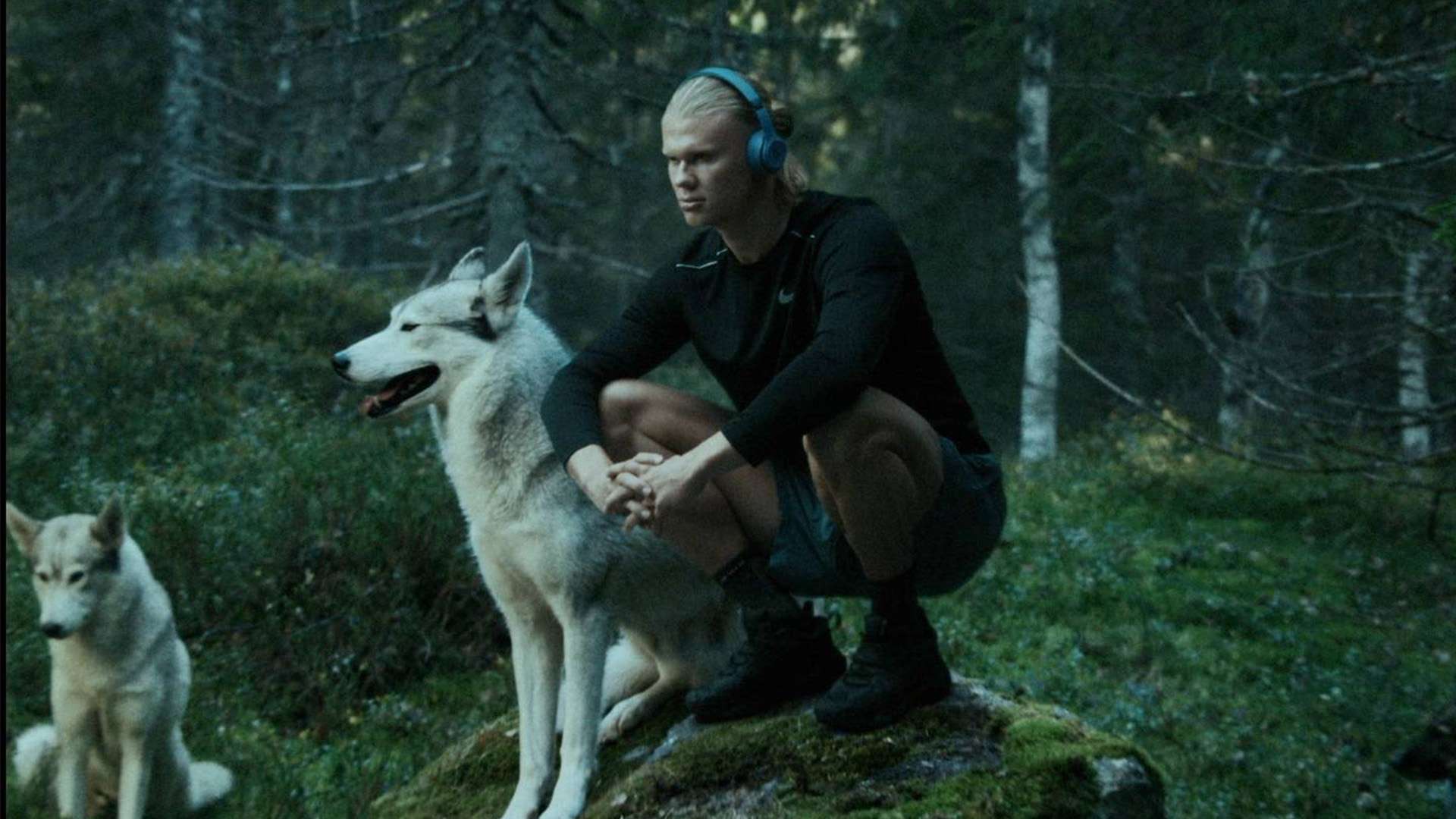 经历了这段 经历了这段