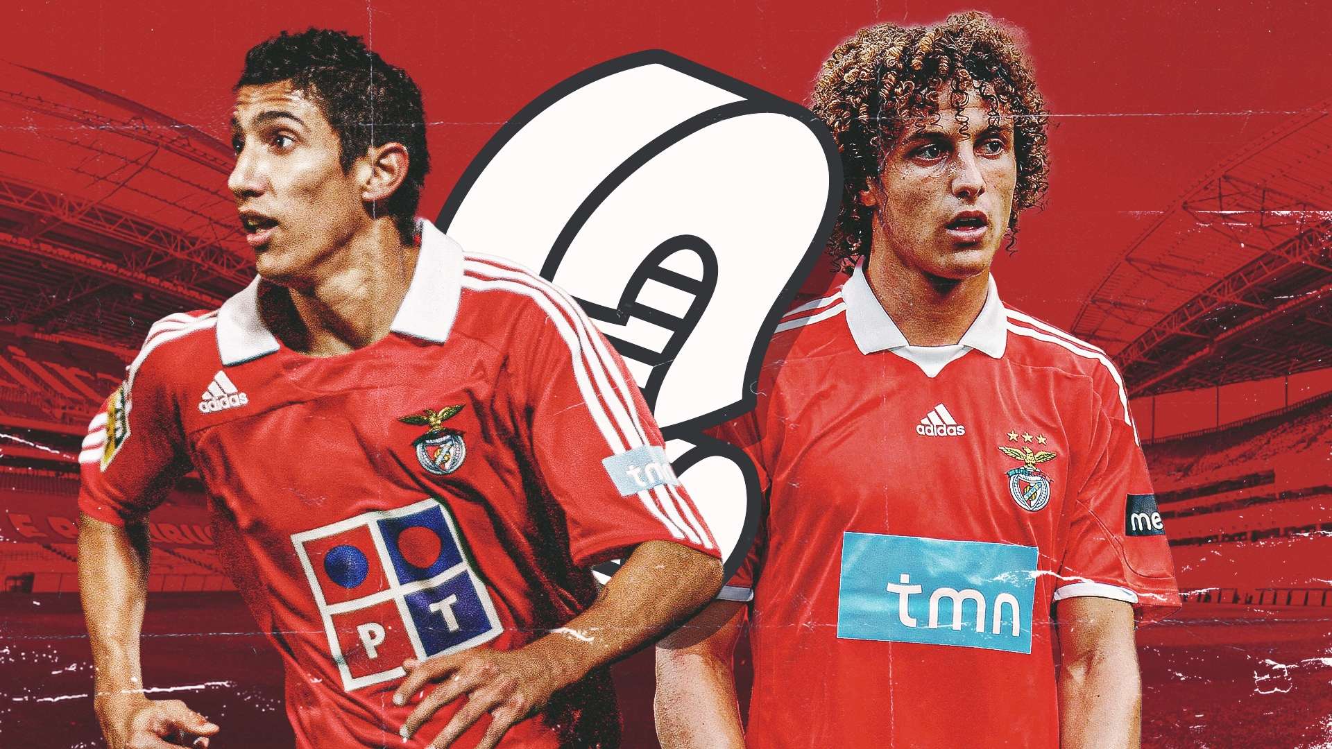 对世界杯的 对世界杯的