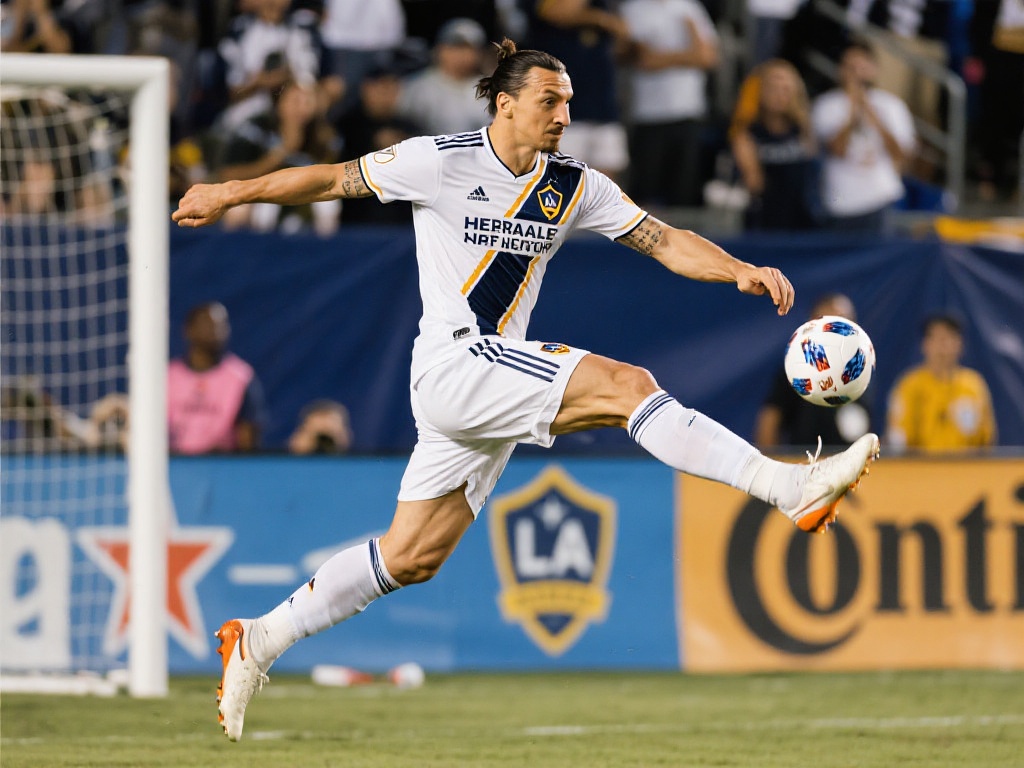 转会案例 转会案例